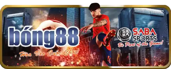 Đá gà Thomo tại bom88